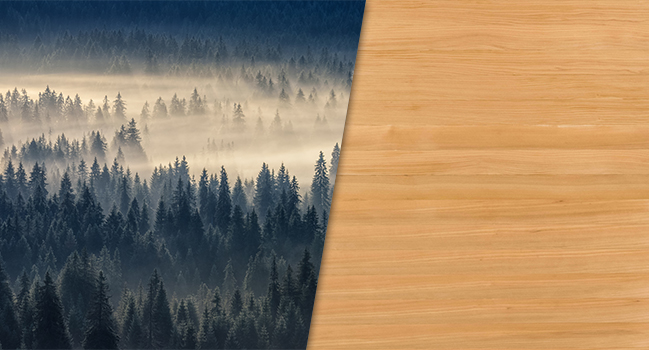 Sauna infrarouge 3 places Apollon Full Spectrum Quartz - France Sauna