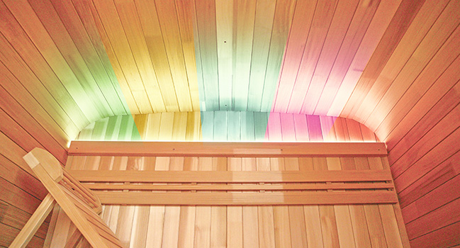 Sauna d'extérieur traditionnel vapeur Gaïa Nova 6 places - Holl's